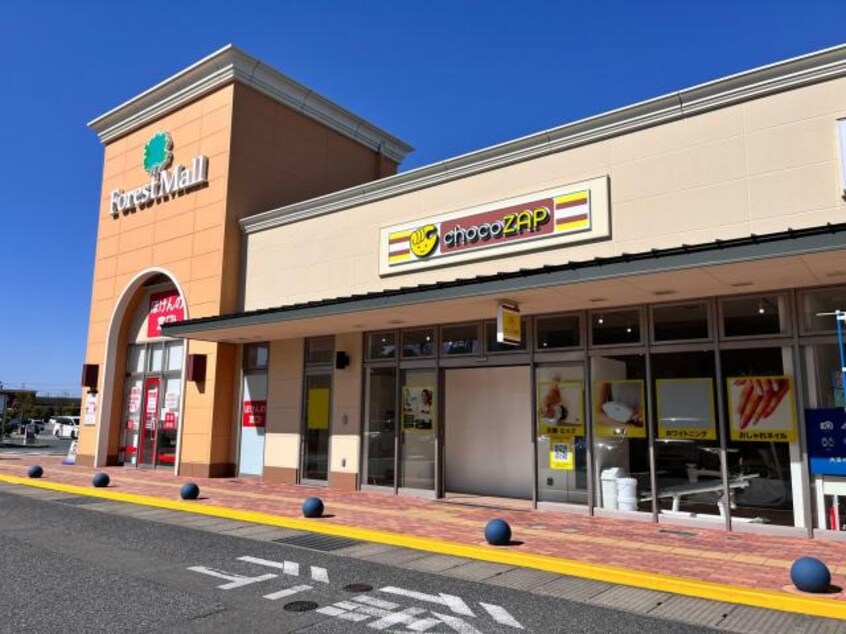 フォレストモール新前橋(ショッピングセンター/アウトレットモール)まで1278m サウス　グレースマンション