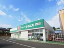 ドラッグセイムス高崎群馬町店(ドラッグストア)まで419m 上越線（群馬県内）/井野駅 徒歩56分 2階 築8年