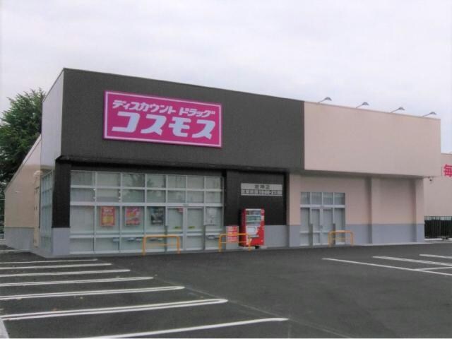 ディスカウントドラッグコスモス岩神店(ドラッグストア)まで1465m 上越線（群馬県内）/群馬総社駅 徒歩27分 2階 築18年