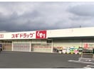 スギドラッグ小八木店(ドラッグストア)まで916m 上越線（群馬県内）/井野駅 徒歩20分 2階 築17年
