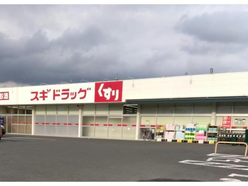 スギドラッグ小八木店(ドラッグストア)まで916m 上越線（群馬県内）/井野駅 徒歩20分 2階 築17年