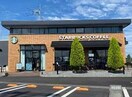 スターバックスコーヒーカインズホーム前橋吉岡店(その他飲食（ファミレスなど）)まで2152m 上越線（群馬県内）/群馬総社駅 徒歩26分 1階 築8年