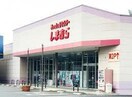 ファッションセンターしまむら天川大島店(ショッピングセンター/アウトレットモール)まで642m ウェル　パークⅡ