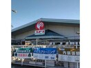 コメリハード＆グリーン前橋六供店(電気量販店/ホームセンター)まで2786m ウェル　パークⅡ