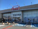 アベイル菅谷店(ショッピングセンター/アウトレットモール)まで2133m 上越線（群馬県内）/井野駅 徒歩34分 2階 築6年