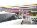 ミニストップ高崎菅谷町店(コンビニ)まで943m 上越線（群馬県内）/井野駅 徒歩40分 2階 築8年