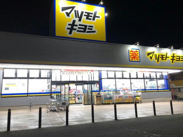 マツモトキヨシ高崎日光店(ドラッグストア)まで282m 上越線（群馬県内）/高崎問屋町駅 徒歩16分 2階 築6年