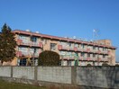 前橋市立桃木小学校(小学校)まで261m ブルーイン幸塚　B