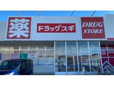 ドラッグスギ天川大島店(ドラッグストア)まで428m Perch　Ⅰ