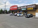 クスリのアオキ総社店(ドラッグストア)まで386m アルカンシエル（総社）