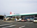 コメリハード＆グリーン富士見時沢店(電気量販店/ホームセンター)まで1978m テ・ルサーマF