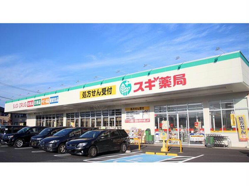 スギ薬局群馬町店(ドラッグストア)まで1047m 上越線（群馬県内）/井野駅 徒歩34分 1階 築17年