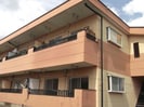 上越線（群馬県内）/井野駅 徒歩56分 2階 築37年の外観