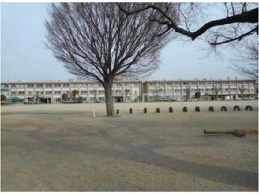 前橋市立桃瀬小学校(小学校)まで1563m 両毛線/前橋大島駅 徒歩14分 2階 築8年