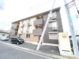勝山　Ⅱ
