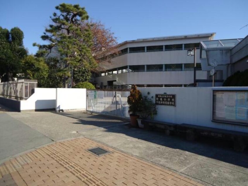 国立群馬大学共同教育学部附属小学校(小学校)まで264m ルミエール日吉
