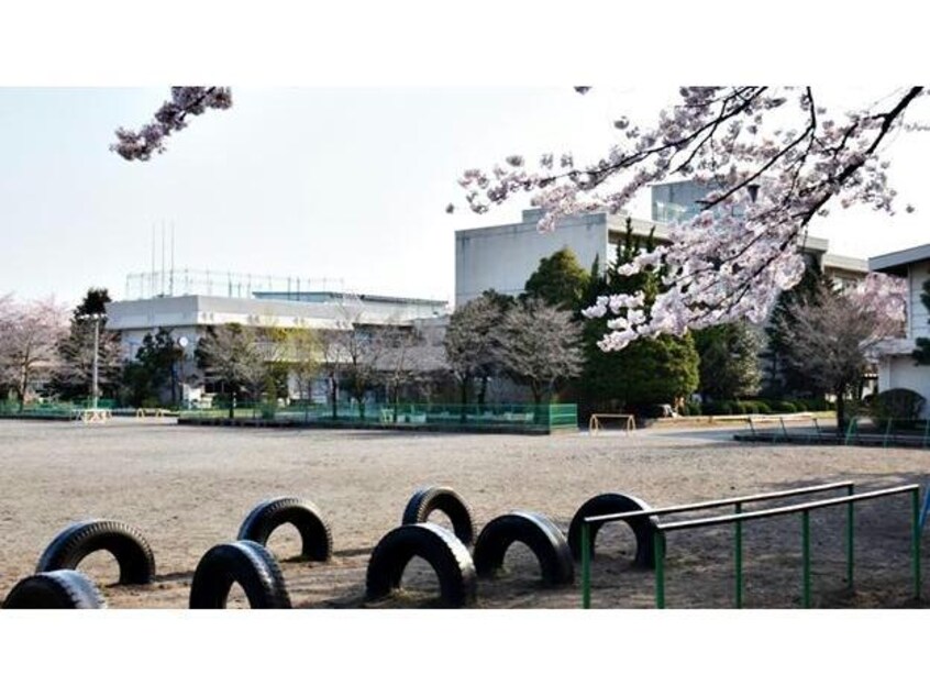 渋川市立渋川北小学校(小学校)まで1655m フェルモＡ