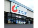 カワチ薬品渋川店(ドラッグストア)まで981m フェルモＡ