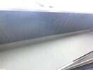  D-ROOM紅雲町C