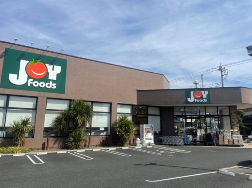 ジョイフーズ前橋南店(スーパー)まで476m D-ROOM紅雲町C