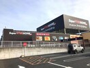スーパービバホーム高崎店(電気量販店/ホームセンター)まで874m アスール