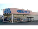 マルエドラッグ高崎小八木店(ドラッグストア)まで874m アロース・ガーデン　Ａ