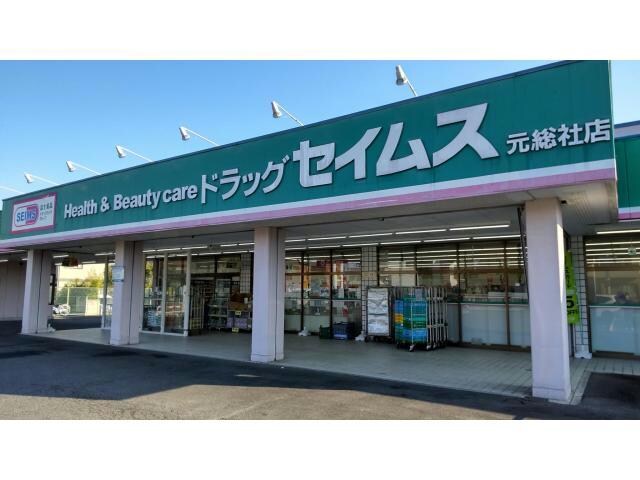 ドラッグセイムス元総社店(ドラッグストア)まで292m ライズグレース　Ａ