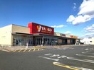 ヤオコー前橋箱田店(スーパー)まで1071m フィオーレ富久