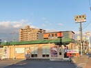 吉野家前橋小相木店(その他飲食（ファミレスなど）)まで1273m フィオーレ富久