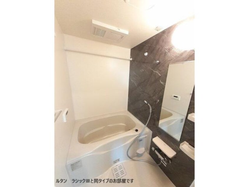  ルーツショアⅣ