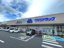 マルエドラッグ駒形店(ドラッグストア)まで1484m ルーツショアⅣ