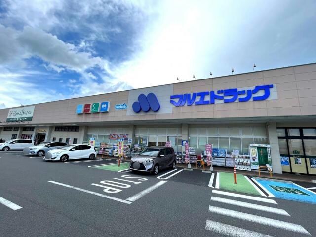 マルエドラッグ駒形店(ドラッグストア)まで1484m ルーツショアⅣ