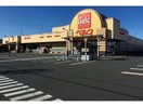 ベルク前橋大島店(スーパー)まで989m エタニティ・Ｅ