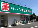 ドラッグセイムス前橋下小出店(ドラッグストア)まで339m ウィステリア・エフ