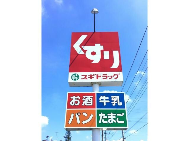 スギドラッグ東片貝店(ドラッグストア)まで734m ラピス　リジェール