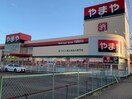 やまや前橋三俣店(ディスカウントショップ)まで1349m グレイスパークⅠ