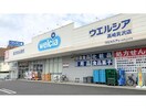 ウエルシア高崎貝沢店(ドラッグストア)まで1171m Ｋ－ＰＬＡＺＡ　Ⅱ
