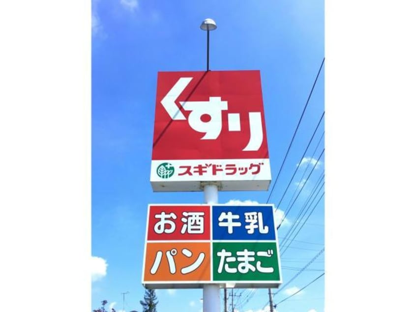 スギドラッグ東片貝店(ドラッグストア)まで1081m Floral Nakajima Ⅱ