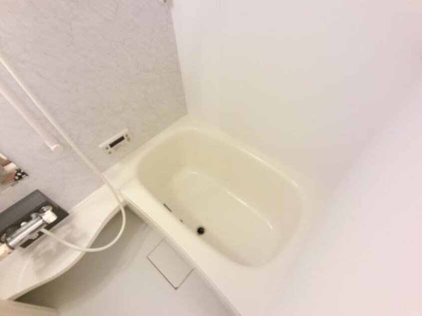  アイビス