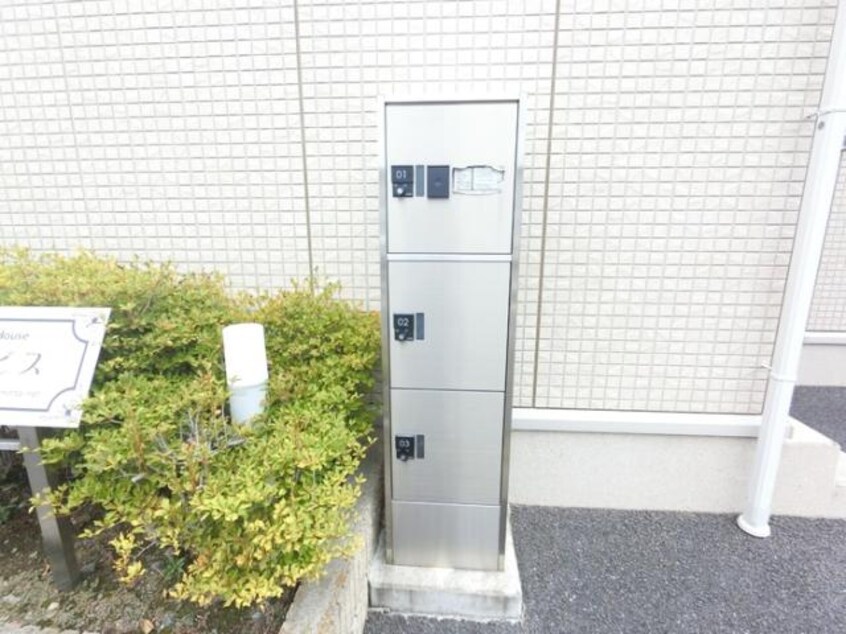  アイビス