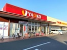 ヤオコー前橋六供店(スーパー)まで560m border　B
