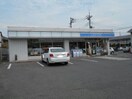 ローソン前橋敷島公園店(コンビニ)まで411m カメリアハイツ