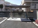  ブライトフォーチュン