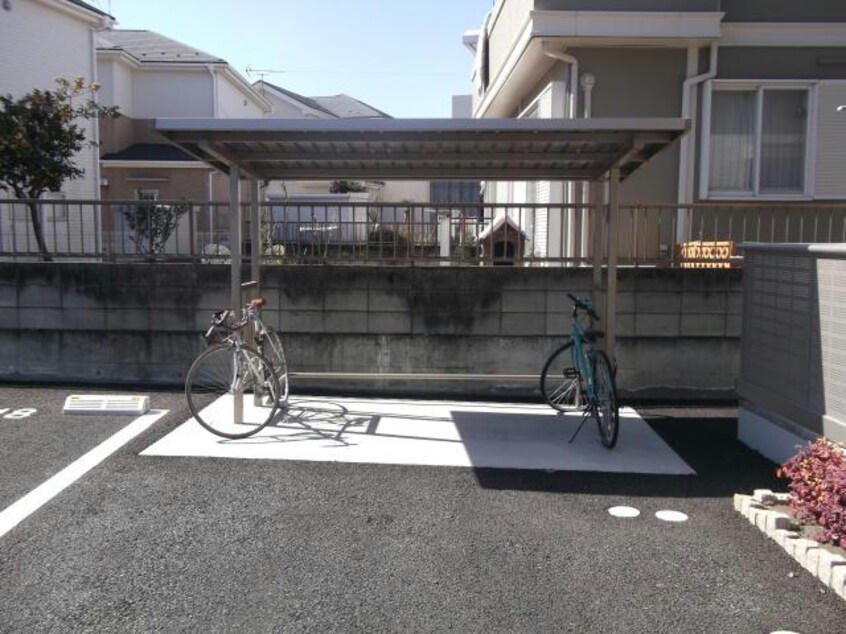  ブライトフォーチュン