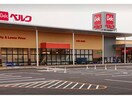 ベルク前橋北代田店(スーパー)まで811m アランチーノ