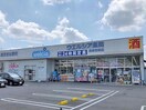 ウエルシア前橋青柳店(ドラッグストア)まで744m アランチーノ