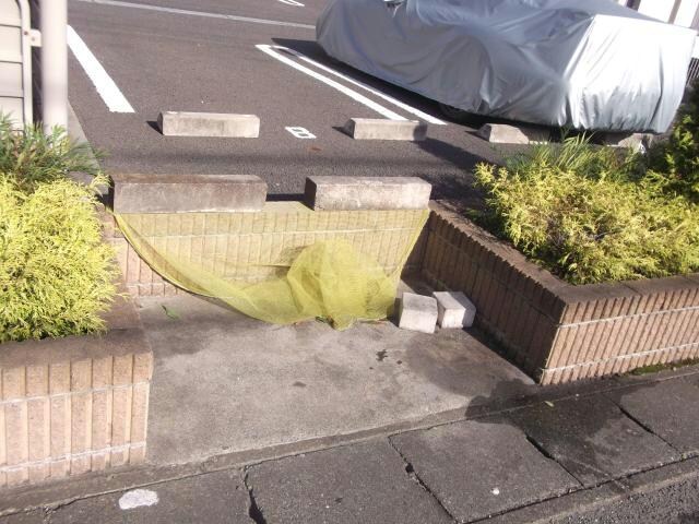  アニメート
