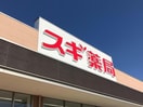 スギドラッグ前橋小島田店(ドラッグストア)まで1294m ＣＡＬＭＬＹ（カームリィ）