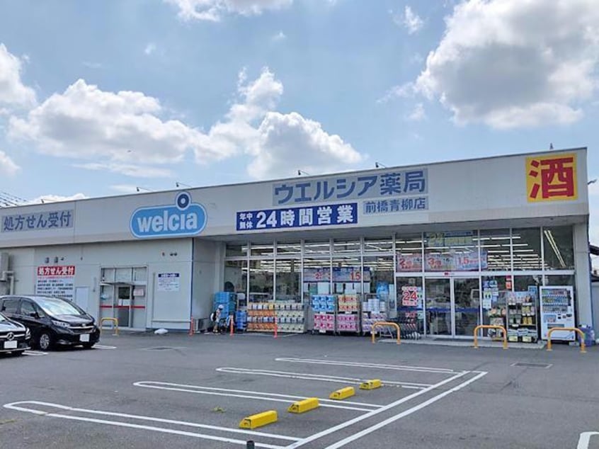 ウエルシア前橋青柳店(ドラッグストア)まで713m ハーモニーライン