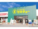 セキチュー前橋関根店(電気量販店/ホームセンター)まで1216m アルコバレーノⅠ